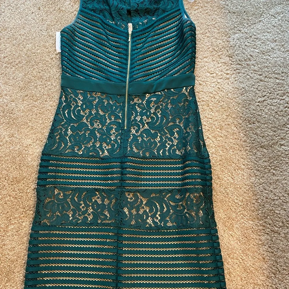 Green Lace and Mesh Sleeveless Dress with nude lining. Size 12 $40.00 - Picture 3 of 4